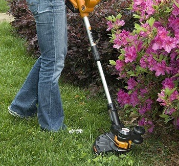 best budget gas trimmer