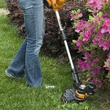 Best Cheap Weed Eater