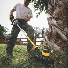 Best Electric Weed Eater