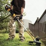 dewalt battery weed eater