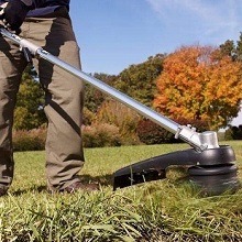 echo gas string trimmer