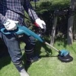 BEST 5 SMALL WEED EATER