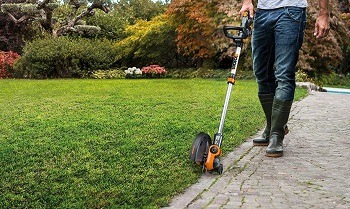 weed eater edger combo