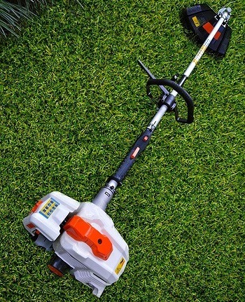 Sunseeker Weed Eater Models - Reviewed by Expert